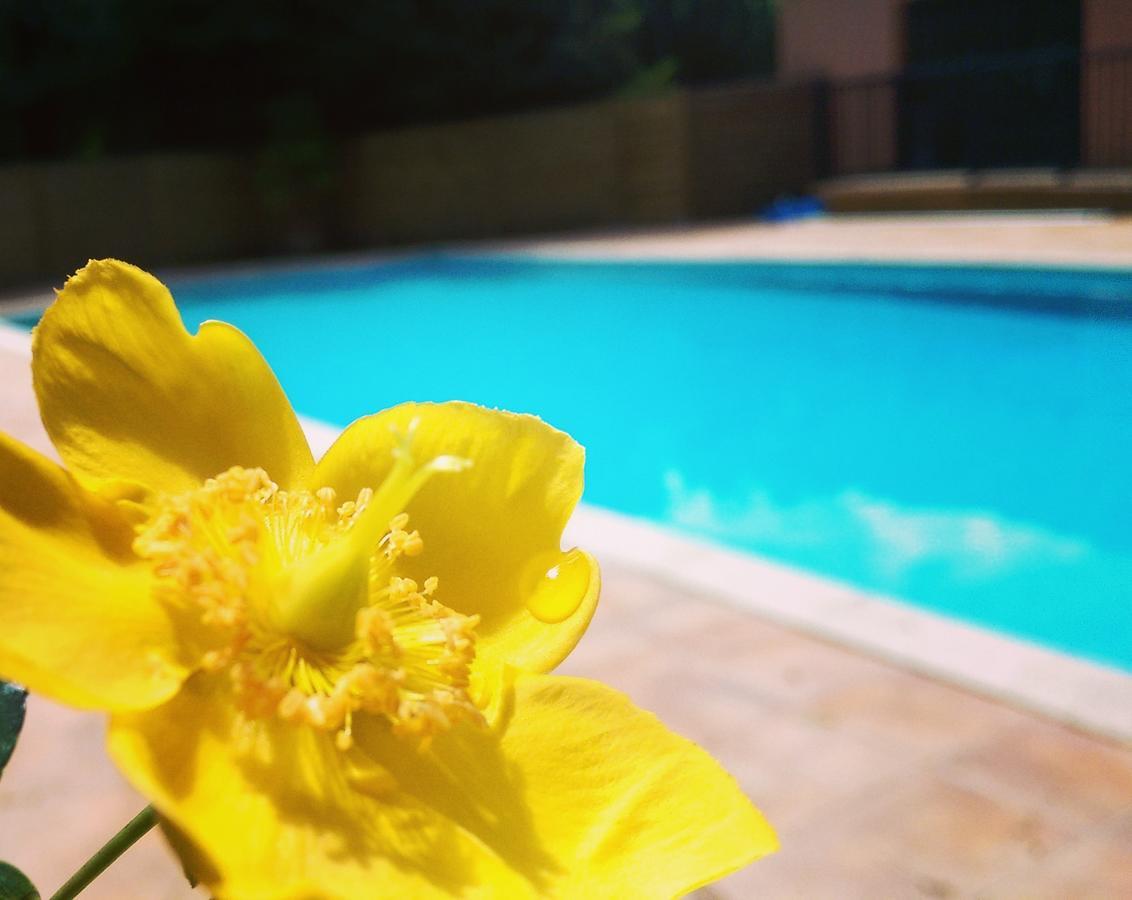 Hotel Chantaco Golf & Wellness แซ็งฌองเดอลูซ ภายนอก รูปภาพ